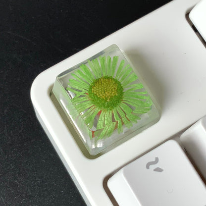 Custom Flower Resin Keycaps